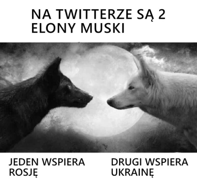 Normalny_Wykopek - #elon #wojna #ukraina #rosja #elonmusk #heheszki #humorobrazkowy