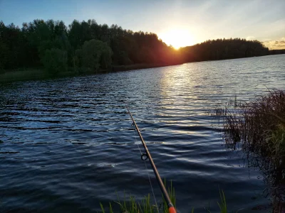 BestiazWadowic2137 - Rybki dają jednak troche uspokojenia