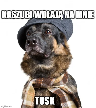 grzmislaw - tusk daj głos ( ͡° ͜ʖ ͡°)