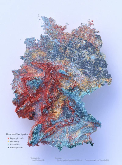 Lifelike - Dominujące gatunki drzew w Niemczech
Buk zwyczajny (Fagus sylvatica)
Dęb...