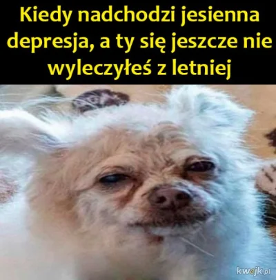 depresyjnydziad - #depresja 
#przegryw #samotnosc