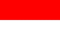 thority - Czy byłeś kiedyś w Indonezji?
#indonezja 
#mecz