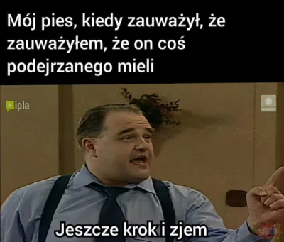 Polishcucumber420 - #heheszki #humorobrazkowy #byloaledobre #miodowelata #karolkrawcz...