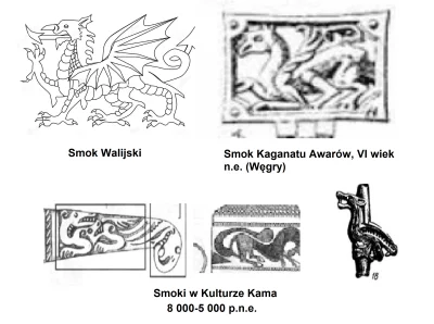 Kamill500 - Jeśli ktoś się zastanawiał, dlaczego smoki chińskie i europejskie są tak ...