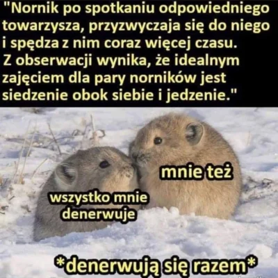 amoksycylina - Przeczytałam "normik", w sumie pasuje

#heheszki #humorobrazkowy #no...