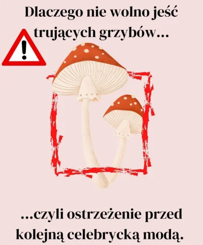 szynszyla2018 - Znów mnie coś ominęło i teraz instagramerki zajadaja się muchomorami ...