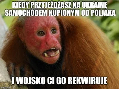 Zarzutkkake - Pamiętacie te śmieszne memy o ukraińcach? Czemu już ich nikt nie wstawi...