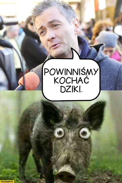 arkadiusz-kowalewski - @Roger_Casement: A tymczasem inny celebryta: