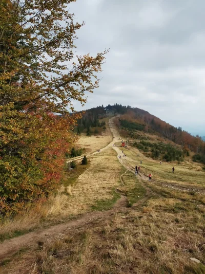 Mirek_Cebula - Czasem dobrze wyjść z piwnicy ;)
#gory #beskidy #earthporn #azylboners...