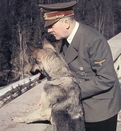 wfyokyga - Adolf Hitler i "Blondi", suka owczarka niemieckiego podarowana przez Marti...
