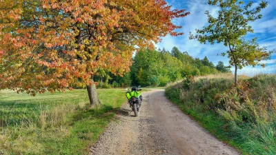 bocznica - #motocykle #podroze #podrozujzwykopem
O jak ja lubię włóczyć się po kaszub...