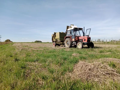 Figiello95 - Na wykopach gurba a gdzie ( ͡º ͜ʖ͡º)
#rolnictwo #traktorboners #wies #ko...