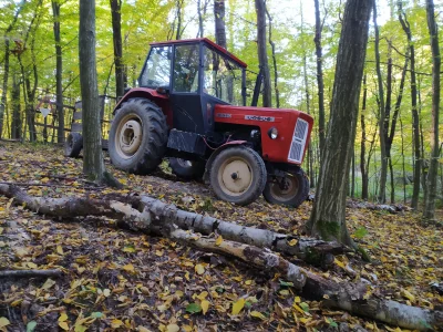 tos-1_buratino - Zwiozłem dziś trochę opału ze swojego lasu.
Kupno traktora rok temu...