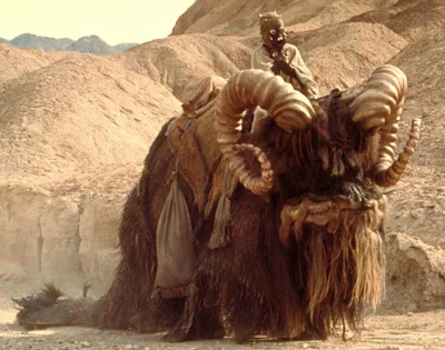 magda_em - > Na Tatooine nie było koni

@Armo11: no prośba...