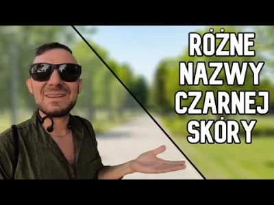 hansschrodinger - @xaviivax: Dave z Ameryki trochę o tym opowiadał, oraz o różnych ty...