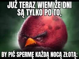 OstatniZnak - #mem #angrybirds #smieszne #heheszki #humorobrazkowy