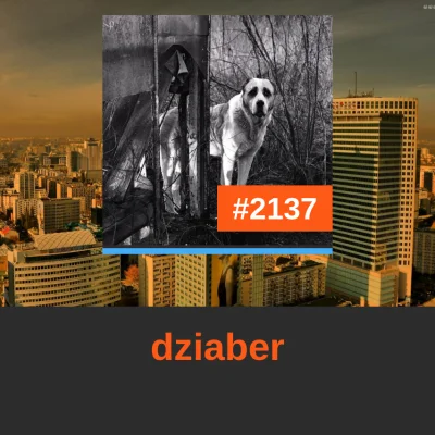 b.....s - @dziaber: to Ty zajmujesz dzisiaj miejsce #2137 w rankingu! 
#codzienny2137...