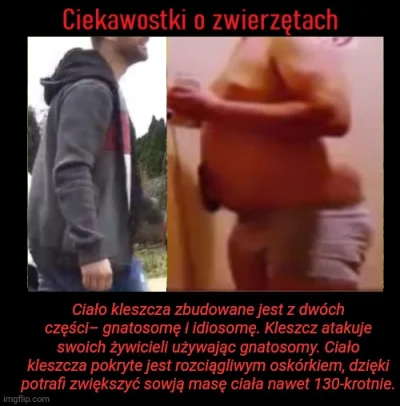 Blazeeen12321 - #kononowicz