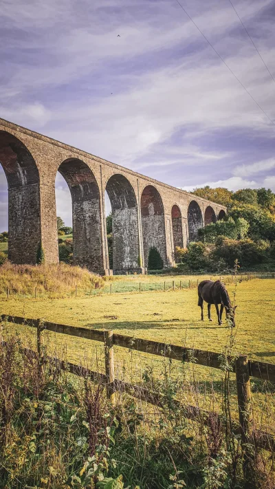 lebele - Wiadukt kolejowy w wiosce Pensford w Anglii 

#fotografia #podroze #zwierzac...