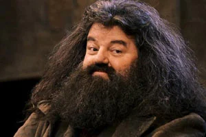 pwn3r - Dzisiaj zmarł Robbie Coltrane, aktor odgrywający Hagrida ( ͡° ʖ̯ ͡°)
#harryp...