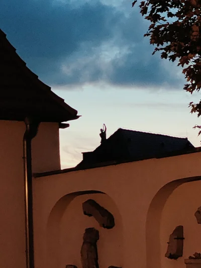 dzieju41 - Skrzypek na dachu
#kominiarz #dach