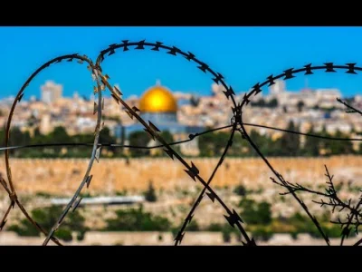 Martwiak - Czy możemy wygrać stracie informacyjne z Izraelem?