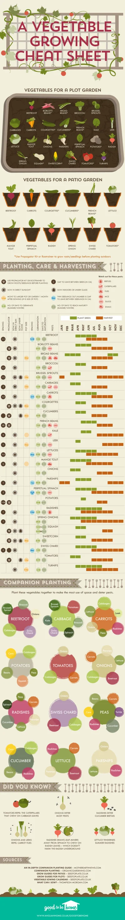 Gialliard - @Gialliard: podobne diagramy o sadzeniu razem roślin widziałem i chciałby...