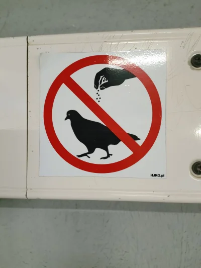 p.....a - zakaz pieprzenia gołębi