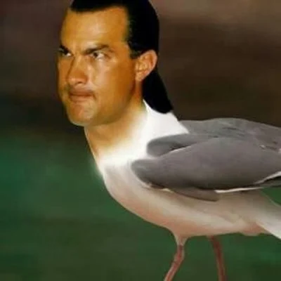 Anonim5 - #stevenseagal