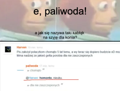 Tomek3322 - @paliwoda: a jak się pisze chomąto, nieuku? ( ͡° ͜ʖ ͡°)