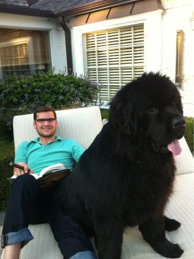 fuck_yeah - @aluskonik: Pies w naturze pluszowego misia - jestem na tak ale pluszowy ...