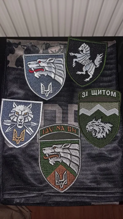 Festung - - 1. Brygada Pancerna
- ogólny szewron Sił Specjalnych
- Dowództwo Sił Sp...