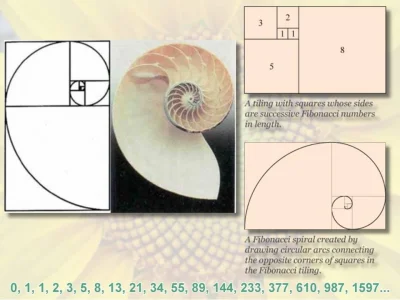 divinorum - @s---k: fibbonacji ze świętej geometrii. To symbol wiedzy, perfekcji i pi...