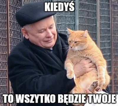 TuptusTuptusiowaty - "Na Polskim Ładzie najbardziej stracili zamożniejsi single"
A i...