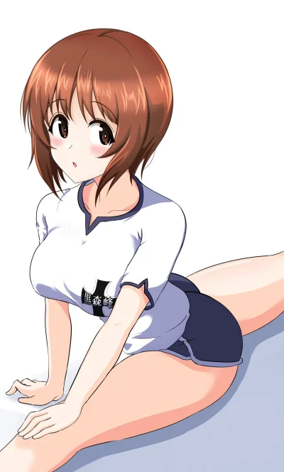 kaliber9 - #anime #girlsundpanzer #mihonishizumi #randomanimeshit