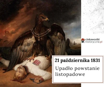CiekawostkiHistoryczne - Czy polskie powstania narodowe miały jakikolwiek sens?

21...