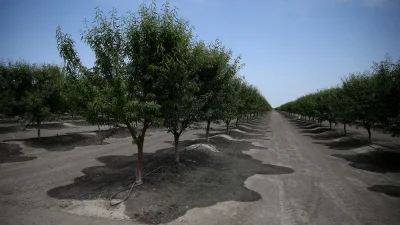 osiemosiemczteryjeden - bynajmniej moge zjeść eko migdały i pistacje z upraw zrównowa...