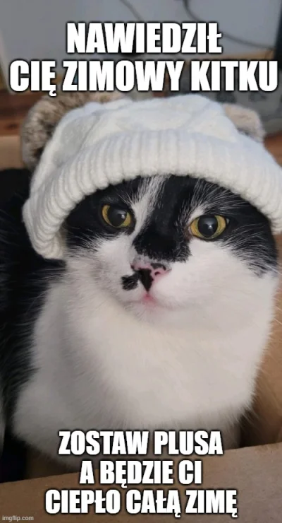 Lethiar - #kitku #pokazkota #zima #memy #glupiewykopowezabawy #koty