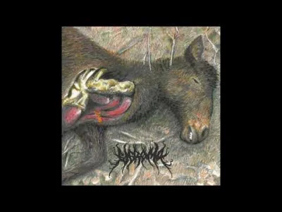 mikanek - dobry kierunek
#blackmetal