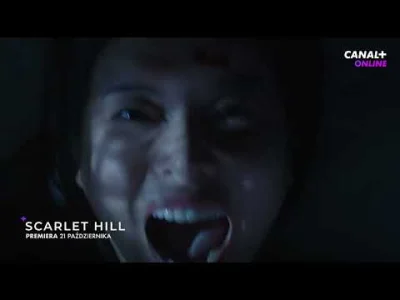 upflixpl - Scarlet Hill. Mroczne sekrety wietnamskiej prowincji w nowym serialu CANAL...