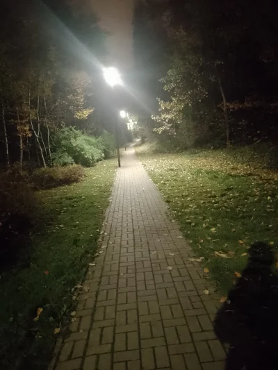 czerwony_ptak - chłop sobie na nocny spacer (ang. nightwalk) poszedł
#przegryw i mik...