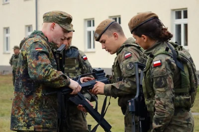 BaronAlvon_PuciPusia - Pierwsze polsko-niemieckie ćwiczenie obrony terytorialnej zako...