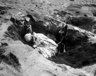 wfyokyga - Śpiulkolot a piesek Butch na straży, Iwo Jima 1945.