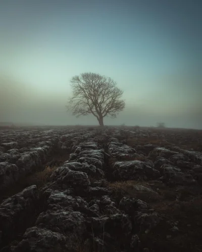 cheeseandonion - https://www.reddit.com/user/Bob-RP/

#yorkshire