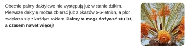 xfin - > Kto sadzi daktyle ten nie zbiera daktyli
@Mostar0: @KomendaGlownaPolicji: (...