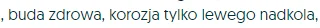 GajowyKapota - @AnonimoweMirkoWyznania: Tak jak chłopy wyżej piszą, w cenie tego co d...