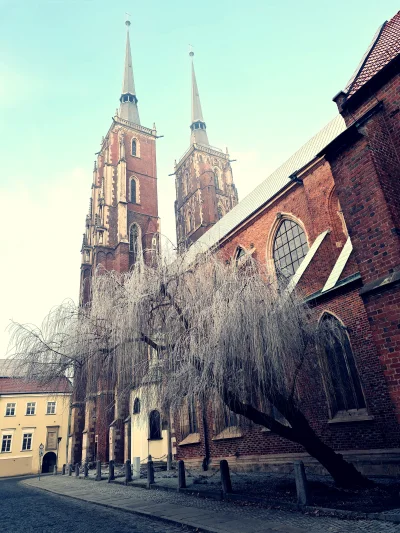 belu_p - Jedno z bardziej ikonicznych miejsc we #wroclaw w Ostrowie Tumskim - Archika...
