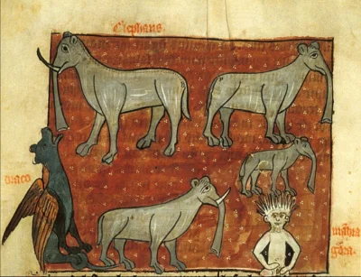 Loskamilos1 - Wyobrażenie słonia we francuskiej książce pochodzącej z XIII wieku.

...