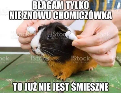 MyszkaZbyszka - #heheszki #humorobrazkowy #gownowpis