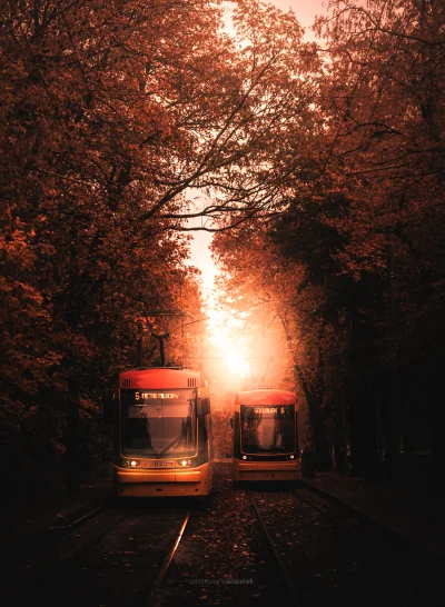 mrsopelek - 6x2

#sopelek #tramwaje #warszawa #fotografia